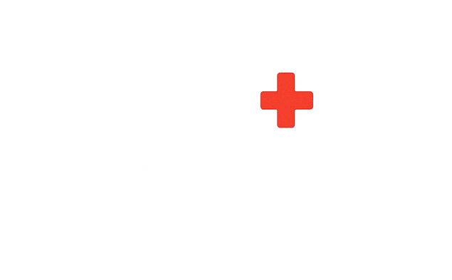 Strona główna transport mediexpress